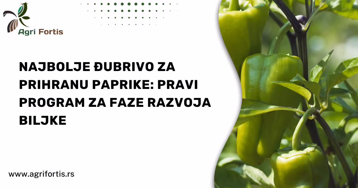 Najbolje đubrivo za prihranu paprike