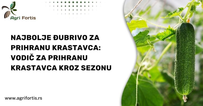 Najbolje đubrivo za prihranu krastavca vodic