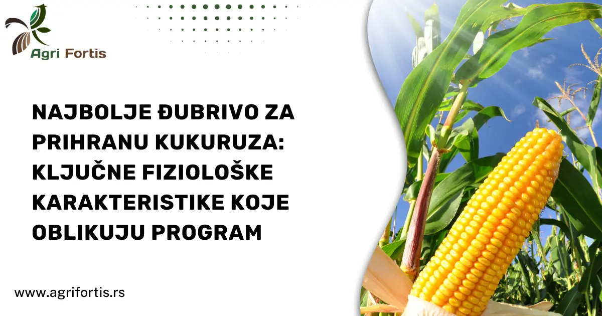 Najbolje đubrivo za prihranu kukuruza